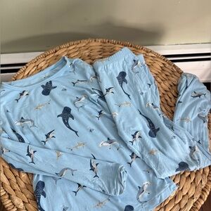 KYTE baby stream shark toddler pj set 6T